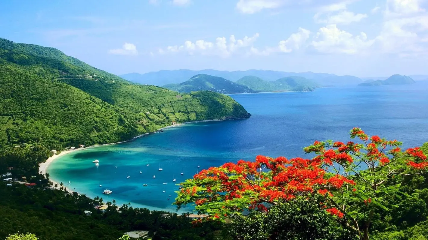 可靠性高效